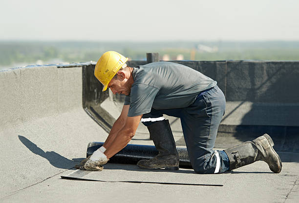 Best Eco-Friendly Insulation in Florence, AL